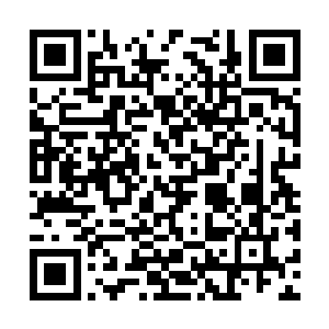 都能够看到排队的场景孙子轩自从进入了伪修真界二维码生成
