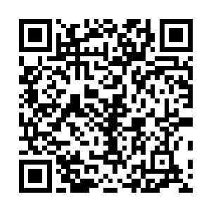 都能把地理纬度和动植物生态之间的关系给他来理论一番二维码生成