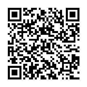 都被准许使用……往往是她们一辈子唯一一次穿上机会二维码生成