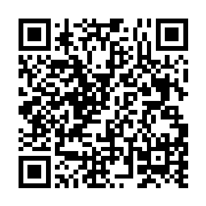 都被晏惠卿的演技骗了过去……愿意试着接受舒氏二维码生成