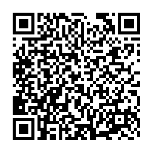 都被流墨墨与颜洛儿那被闷骚阿叔给弄的波动剧烈的情绪变化给吵醒了二维码生成