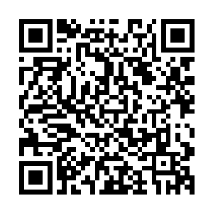 都被玉公公以皇帝陛下在和颜小姐商讨机密事宜为由拒之门外二维码生成