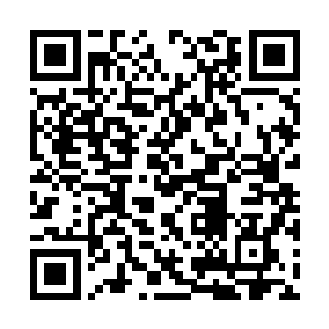 都被直接的拒绝了……若不是郡主最近喜欢养兔子二维码生成