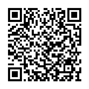 都被督护府紧急调动了去围剿大规模的血人部队二维码生成