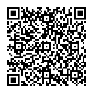 都被这两位凶残人物爆发起来的劲气撞破了一个窟窿的……虽然因为角度和力道的关系二维码生成