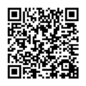 都被银白色巨人突然变化节奏的攻击打得手忙脚乱二维码生成