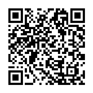 都要先在心里构思这个人物的性格和背景才能装得完美二维码生成