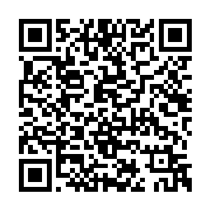 都要比他稍微逊色一些的……不是实力上的差距二维码生成