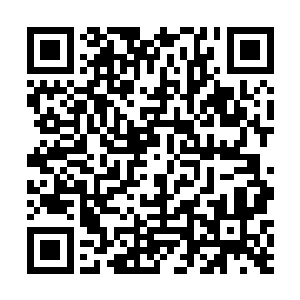 都要比朱雀元气大得多了……即便朱雀元气占据了主动二维码生成