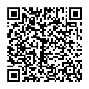 都要靠工作人员操控搜索车将这些在星空中漂浮的幸存机甲士们给找回来二维码生成