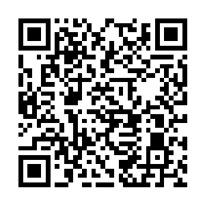 都觉得暂时找不出比沈家军营更适合四叔的地方了二维码生成