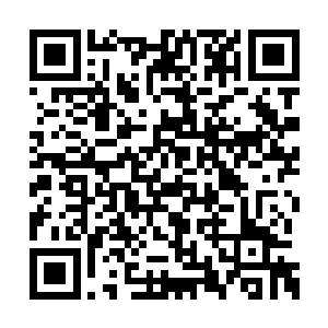 都觉得流墨墨对萌星太过莫名其妙的宽容和宠溺二维码生成