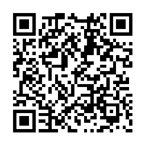 都让那十二名半步武帝抓到机会重伤独孤傲一次二维码生成