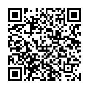 都说神将府三房的吴三奶奶看上的是蒋侍郎家的四姑娘二维码生成