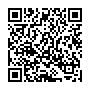 都说能从星宿海十八万修士中杀出来的乃是精英中的精英二维码生成
