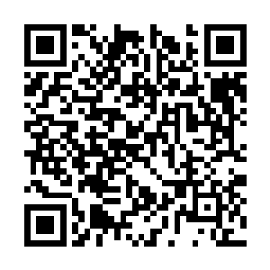 都谈到要督促宋州的保持党的先进性教育活动开展二维码生成