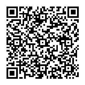 都足够在太夏除轩辕之丘以外的任何一个地方买上一个和现在的大司农官邸同等大小二维码生成