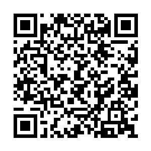 都跟我一起出来把那些疯狗赶出我们的校园……二维码生成