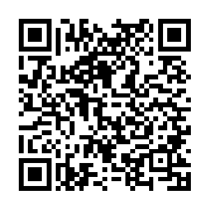都还在不停的集中在两大劫案这件事情上面的时候二维码生成