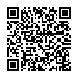 都通过复杂的六芒星结构涌向了银月小姐的体内二维码生成