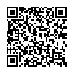 都随着这半边已然塌陷入海的小岛一起埋葬了吧二维码生成