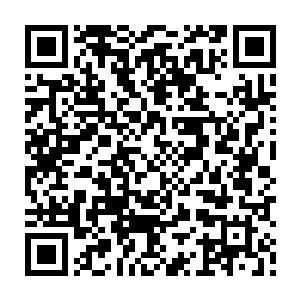 都难保不会被人听了去……特别是那位神秘莫测却对苏府饱含敌意的北辰影大人二维码生成