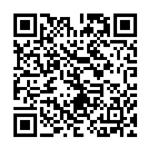 都集中在是否会下岗裁员以及收入是否会受到影响这一点上二维码生成