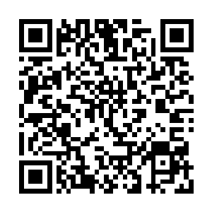 都需要奏请龙庭由御令殿诏告才能剥夺本皇血脉二维码生成