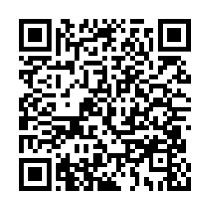 都顺着淡金色的触须源源不断传输到黑杰克体内二维码生成