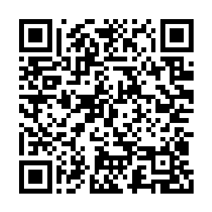 酆都大帝那儒雅的面庞上也顿时浮现出一丝怒色二维码生成