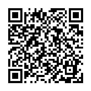 配合着发着闪光的地板和低低垂下的天鹅绒的蓝色帷幔二维码生成