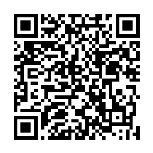 配合着她那作为市委书记的夫人渐渐培养出来的高贵气质二维码生成