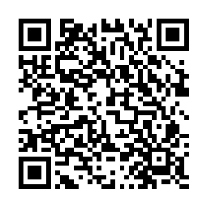 配合着独孤夜手下这一群武功高超不熟皇家暗影卫的手下二维码生成