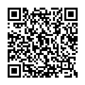 配着淡蓝色的肚兜衬着这张引人遐思的绝世娇颜二维码生成