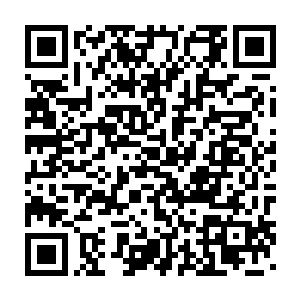 酒井正阳和丽莎四人早就听说赵紫薇是世界上最漂亮最年轻的女总理二维码生成