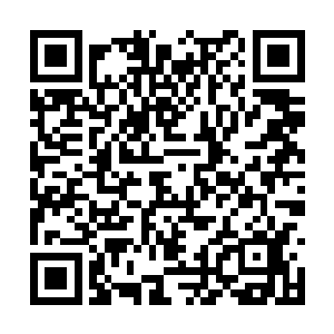 酒吧巡演的方式就是歌手们寻求出路最重要的方式二维码生成