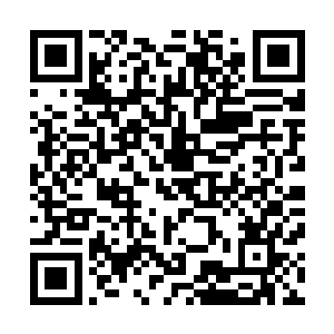 酒吧里的临检行动和电视台的现场报道都有条不紊地进行着二维码生成