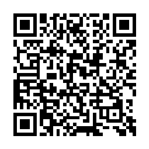 酒店内刚忙碌开的典礼厅厅外片场顿时星光璀璨二维码生成