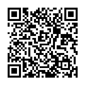 酒店方面为每个参加有道集团年会的人准备了一个小礼物二维码生成