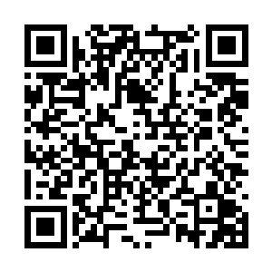 酒店的总经理得知一场兰花界的盛会将在这里展开二维码生成