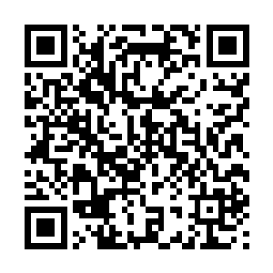 酷爱砸晕我吧~不要因为我是娇花就可怜我~嘤嘤嘤嘤~二维码生成