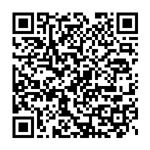 醉卧怅然和悟死参玄就想到了……既然咱们肛正面的结果肯定是死二维码生成