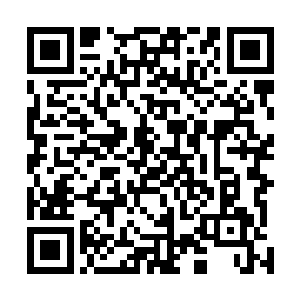 醒来的时候眼睛还没睁开就张手要虎头弟弟和小狮子弟弟二维码生成