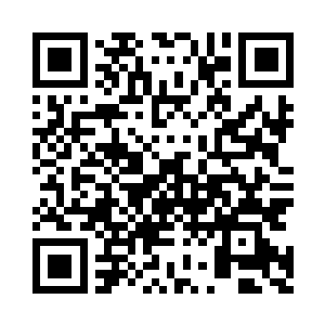 采用的是北洋深海犀兽皮千层缝制二维码生成