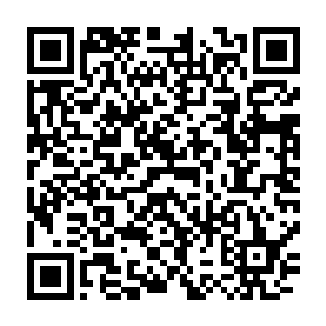 采访随着n的直播新闻迅速传送到了无数个家庭和观众的电视画面中二维码生成