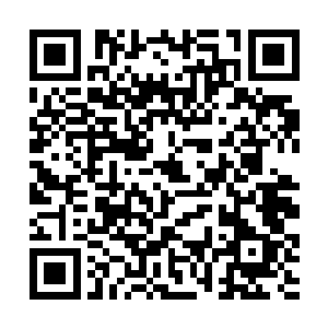 采集到的灵草仙药都是三千界修士所无法想象的珍贵二维码生成