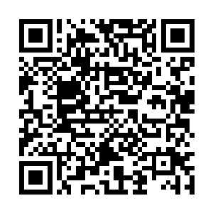 释放出更强大的元神之力……不求完全控制奇美拉二维码生成