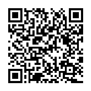 释放出界笼罩着自己向着阵盘化作的小城落了下来二维码生成