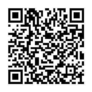 释无量感应不知道她大陆之主的气息也是很正常二维码生成