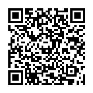 释羽薰下意识的从门口屏风后探出脑袋往里瞧了瞧二维码生成